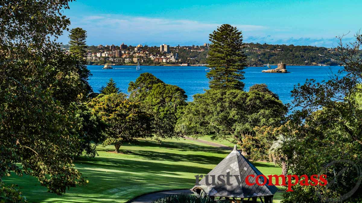 Looking across Sydney Harbour from Royal Botanical Gardens